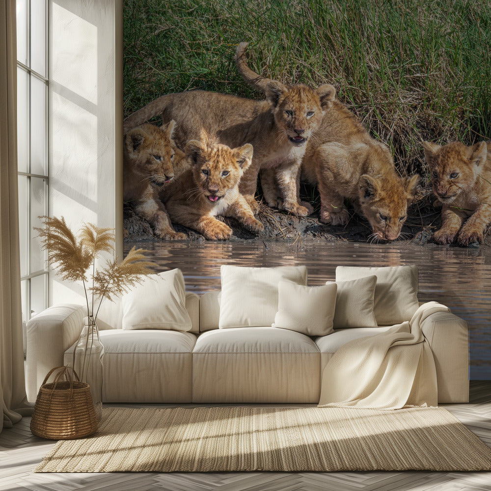 Bändin kokoaminen uudelleen... | Valokuvatapetit