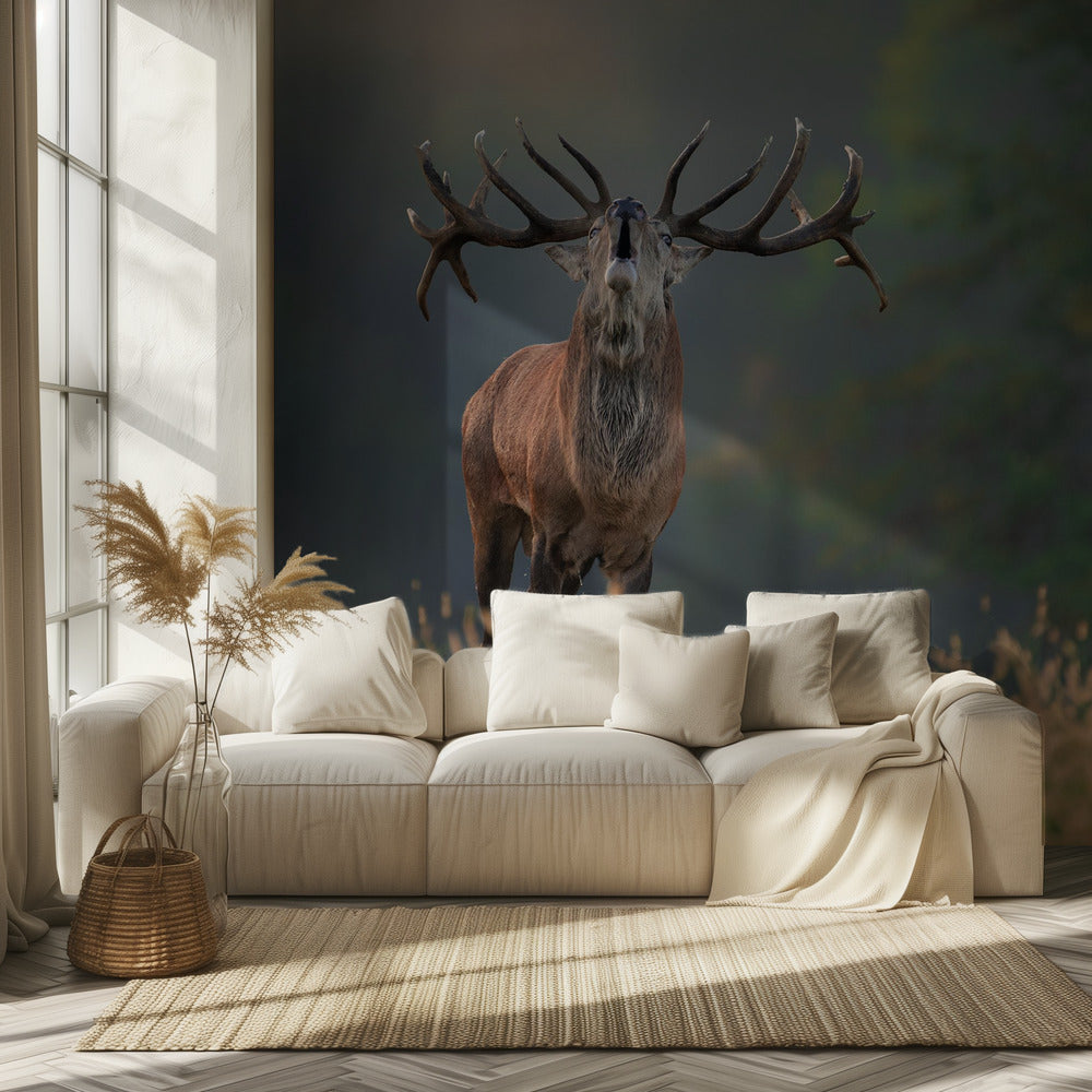 Hirvien häälaulu | Valokuvatapetit