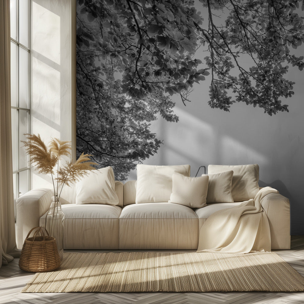 hiljaisuuden ääni | Valokuvatapetit