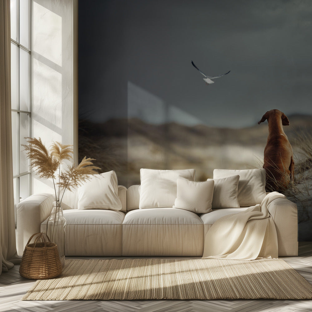 VAPAUDEN (II) | Valokuvatapetit