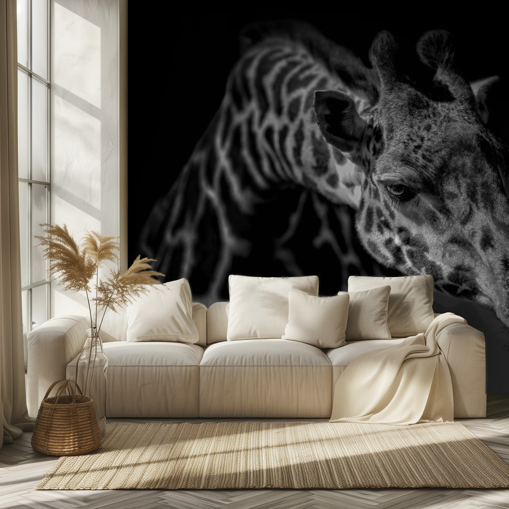 Kirahvi | Valokuvatapetit