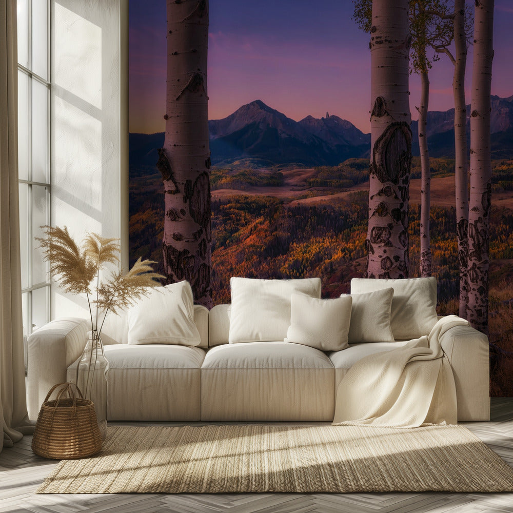 Haapakehykset | Valokuvatapetit