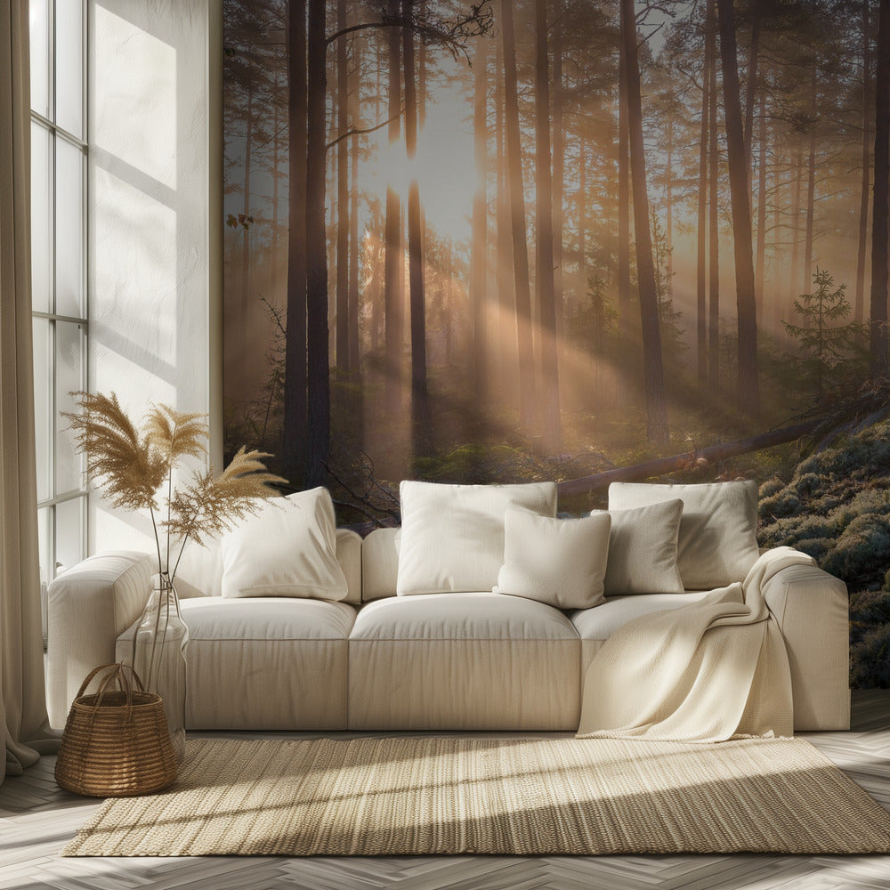 Sumu metsässä, valkoista sammalta etualalla | Valokuvatapetit