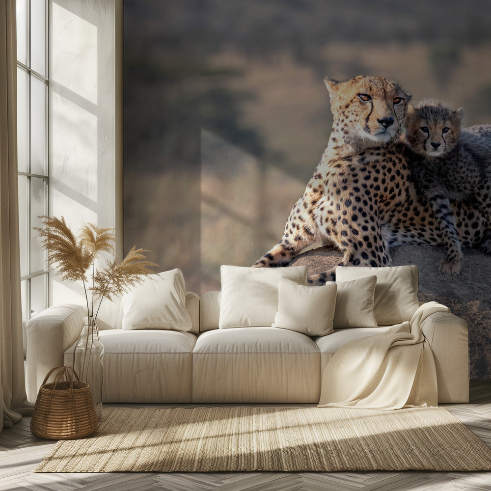 Gepardi ja kuppi! Valokuvatapetit