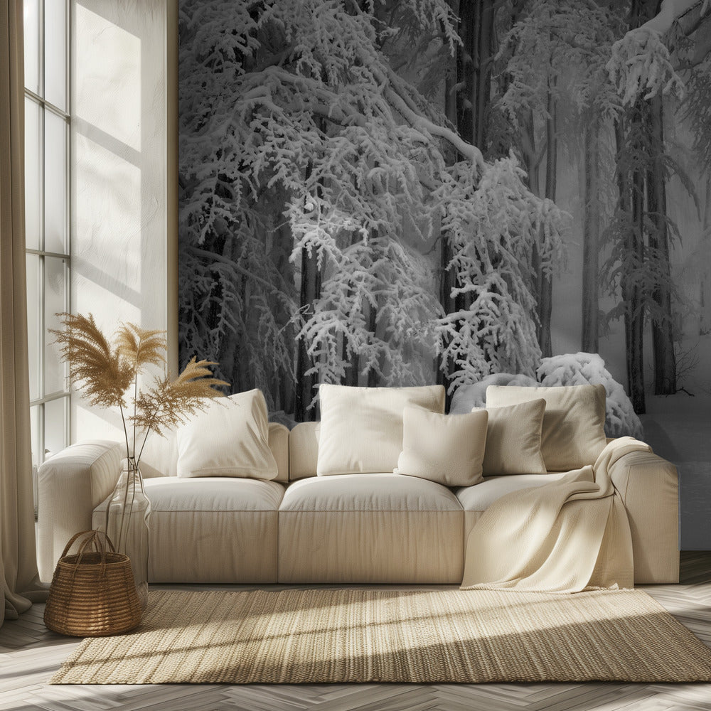 Täydellinen talvi | Valokuvatapetit