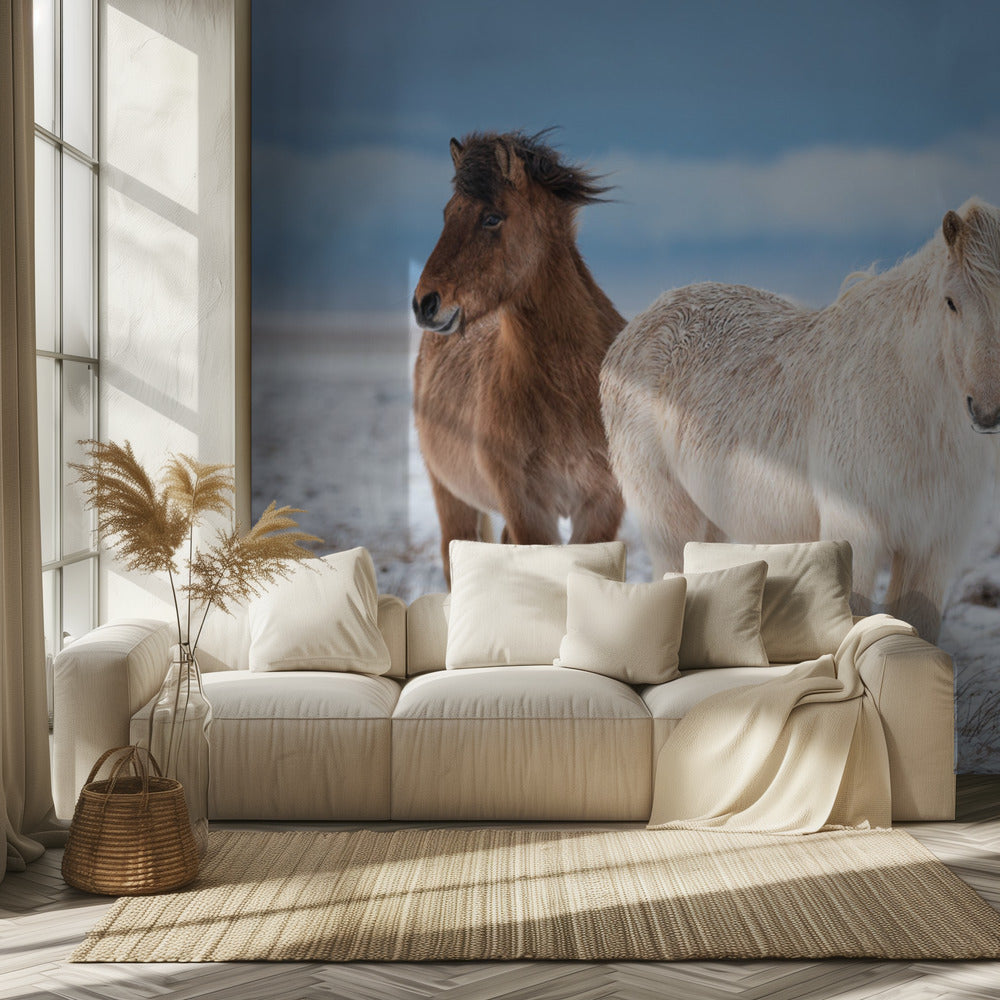 VELI S | Valokuvatapetit