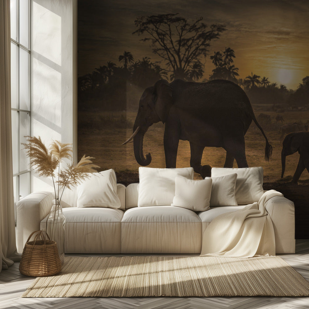 Seuraa minua | Valokuvatapetit