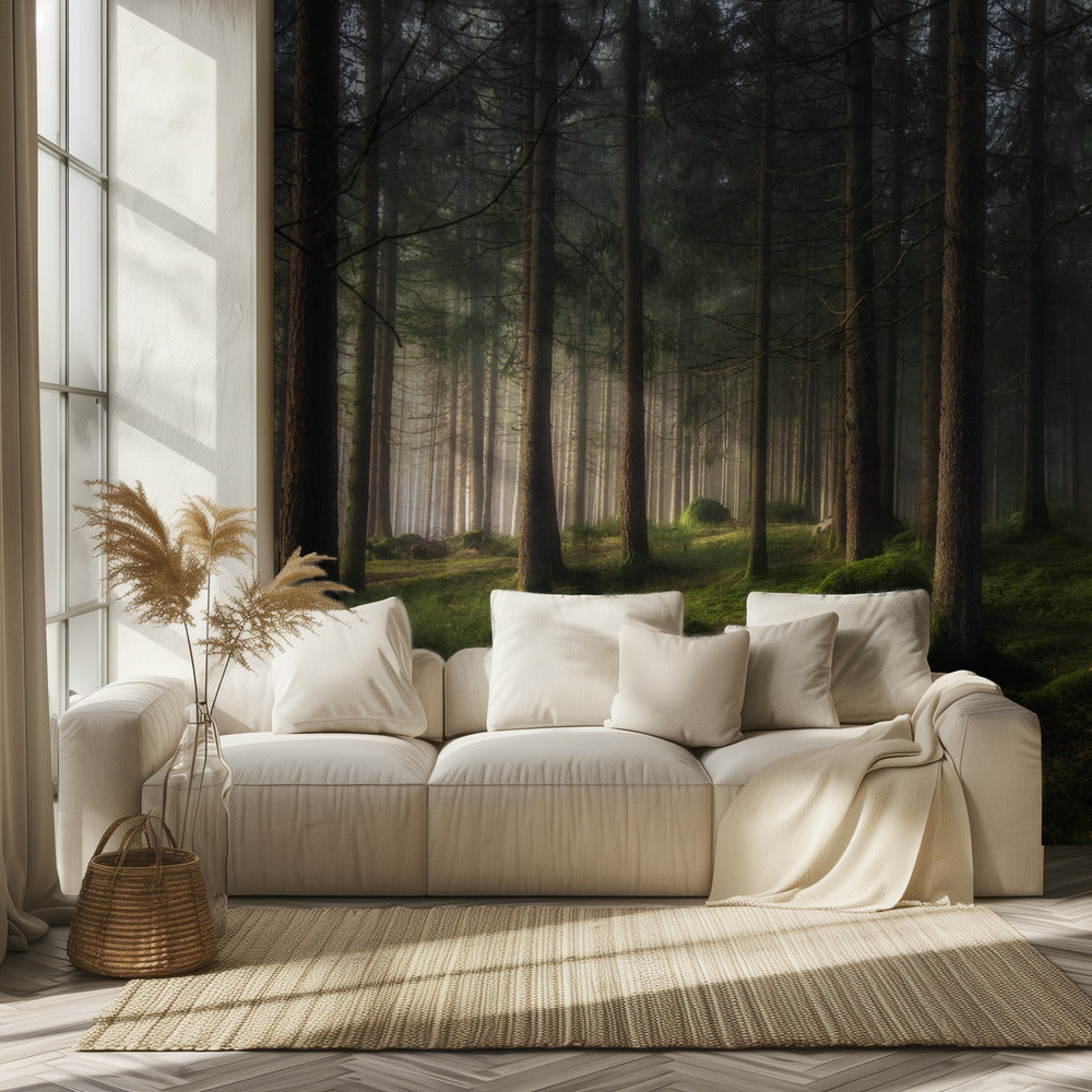 Kevään tunne | Valokuvatapetit