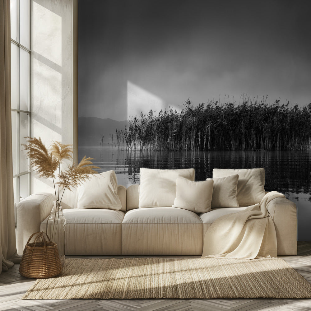 Volvi-järvi VII | Valokuvatapetit