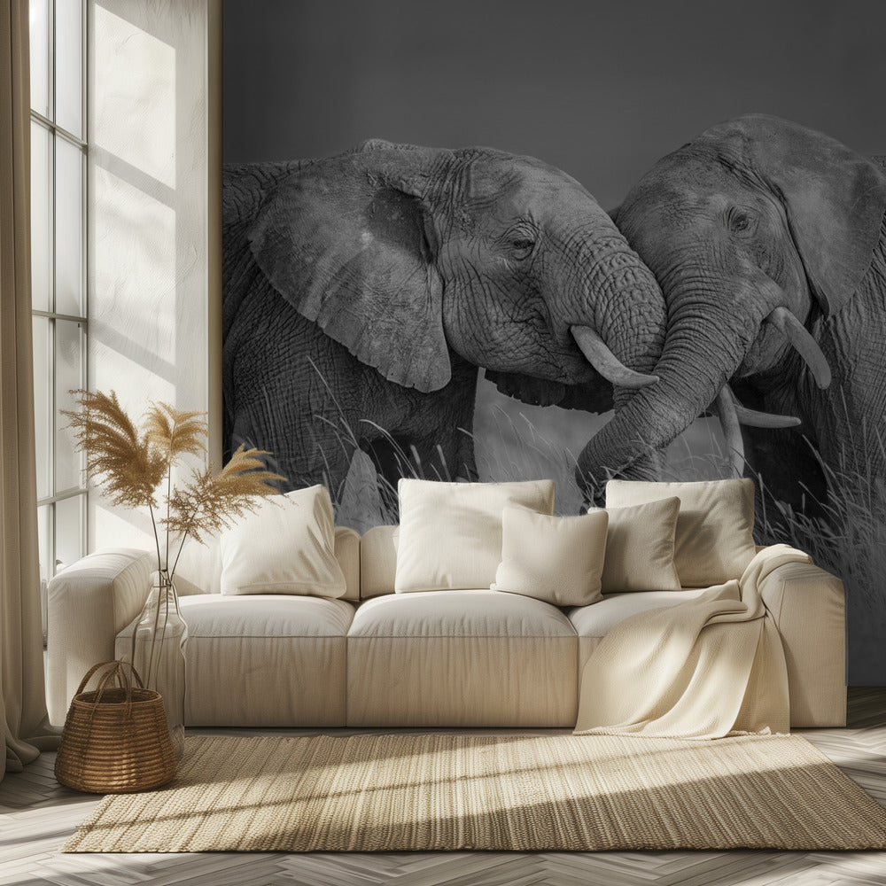 Norsun lento | Valokuvatapetit