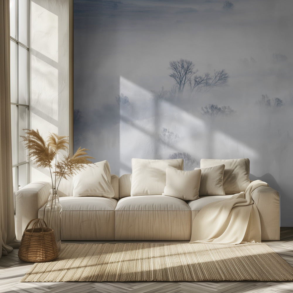 Talvi | Valokuvatapetit