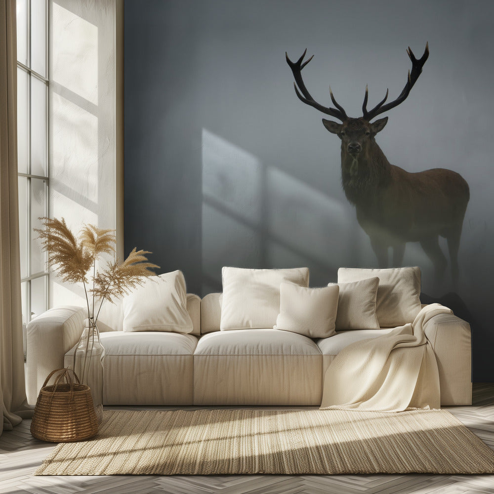 Lyhytkestoisuus | Valokuvatapetit