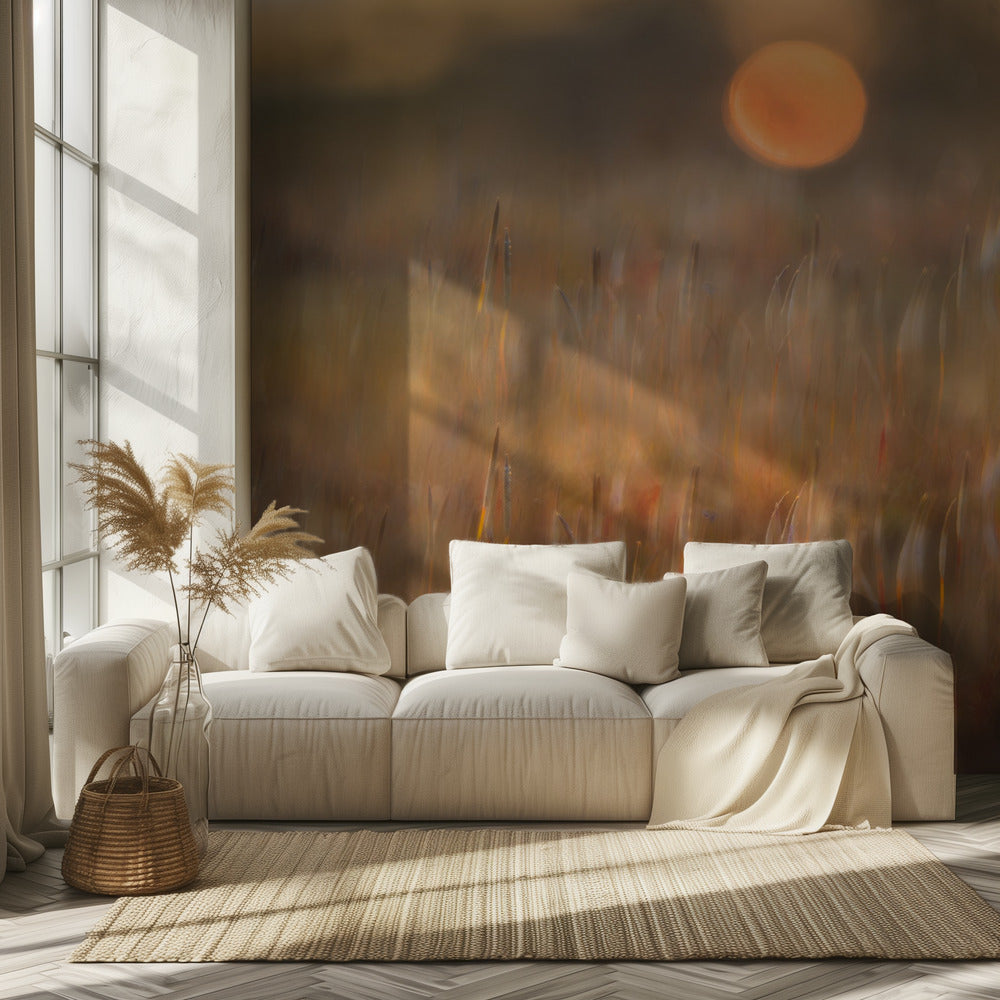 solopgang blandt det ruhårede mos | Fototapeter