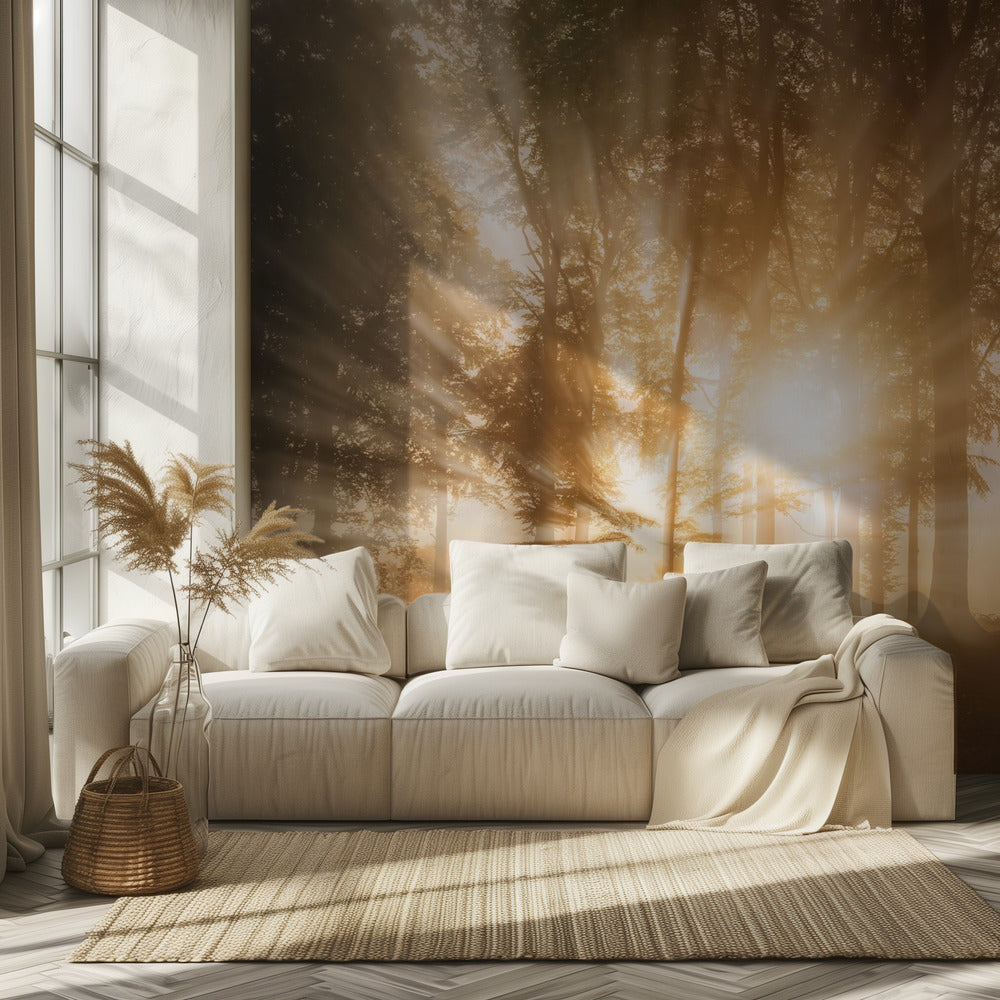 Valon sokaisema | Valokuvatapetit