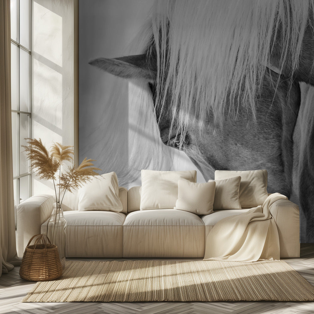 Puolivuoti-muotokuva | Valokuvatapetit