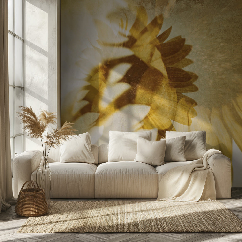 Igual que el sol | Papel Pintado Fotográfico