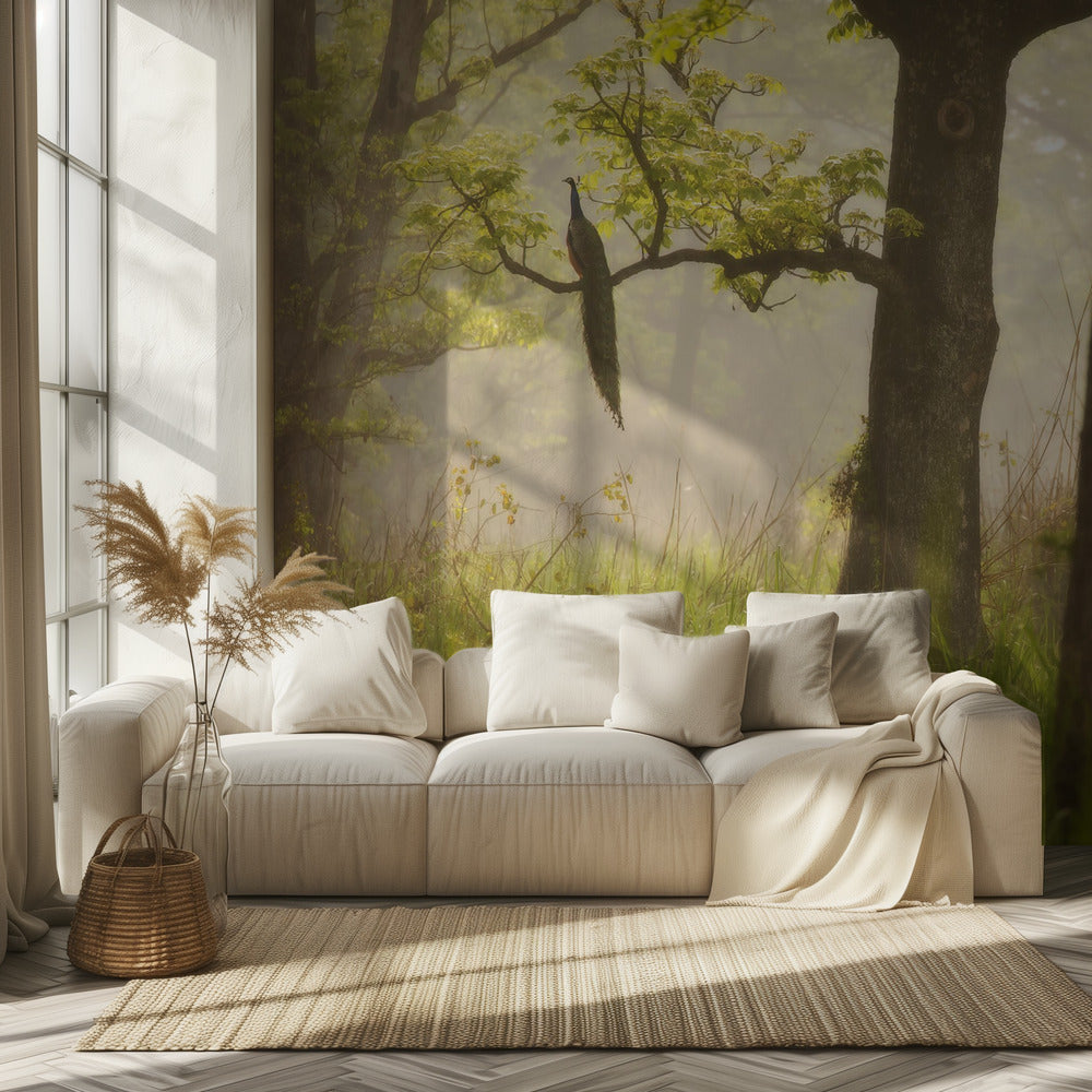 Pavone | Carta da Parati Fotografica