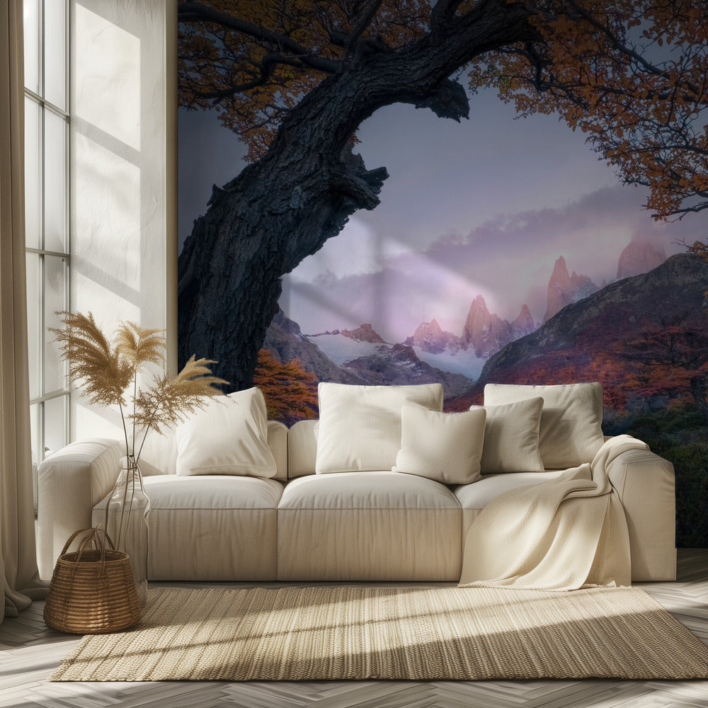 Sonnenuntergang vom Fenster | Fototapeten