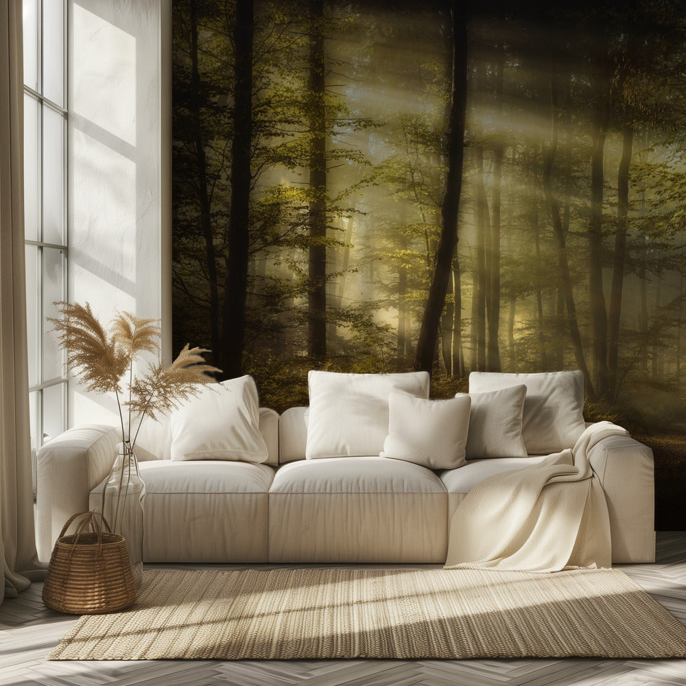 Mattina autunnale | Carta da Parati Fotografica