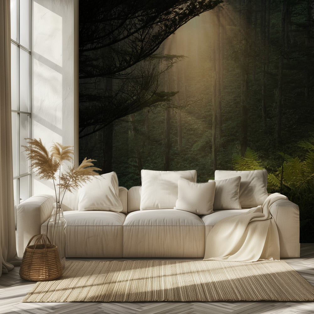 Riflettori. | Carta da Parati Fotografica