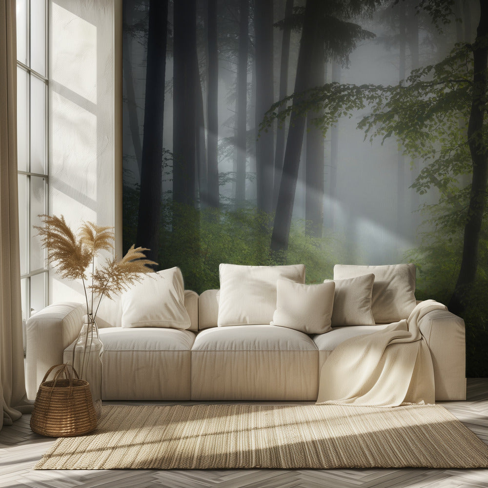 Nebbia mattutina | Carta da Parati Fotografica