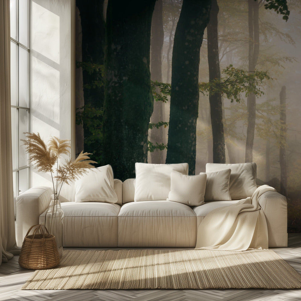 Herbst | Fototapeten