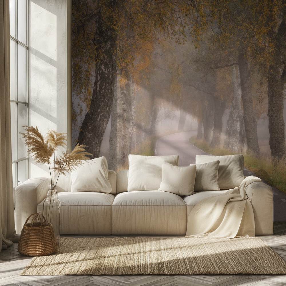 Fallende Blätter | Fototapeten