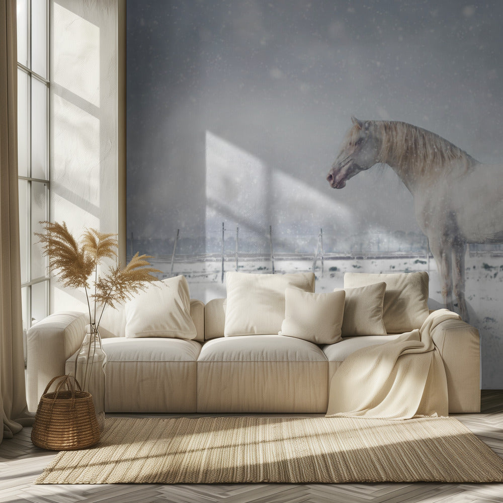 Sataa lunta... | Valokuvatapetit