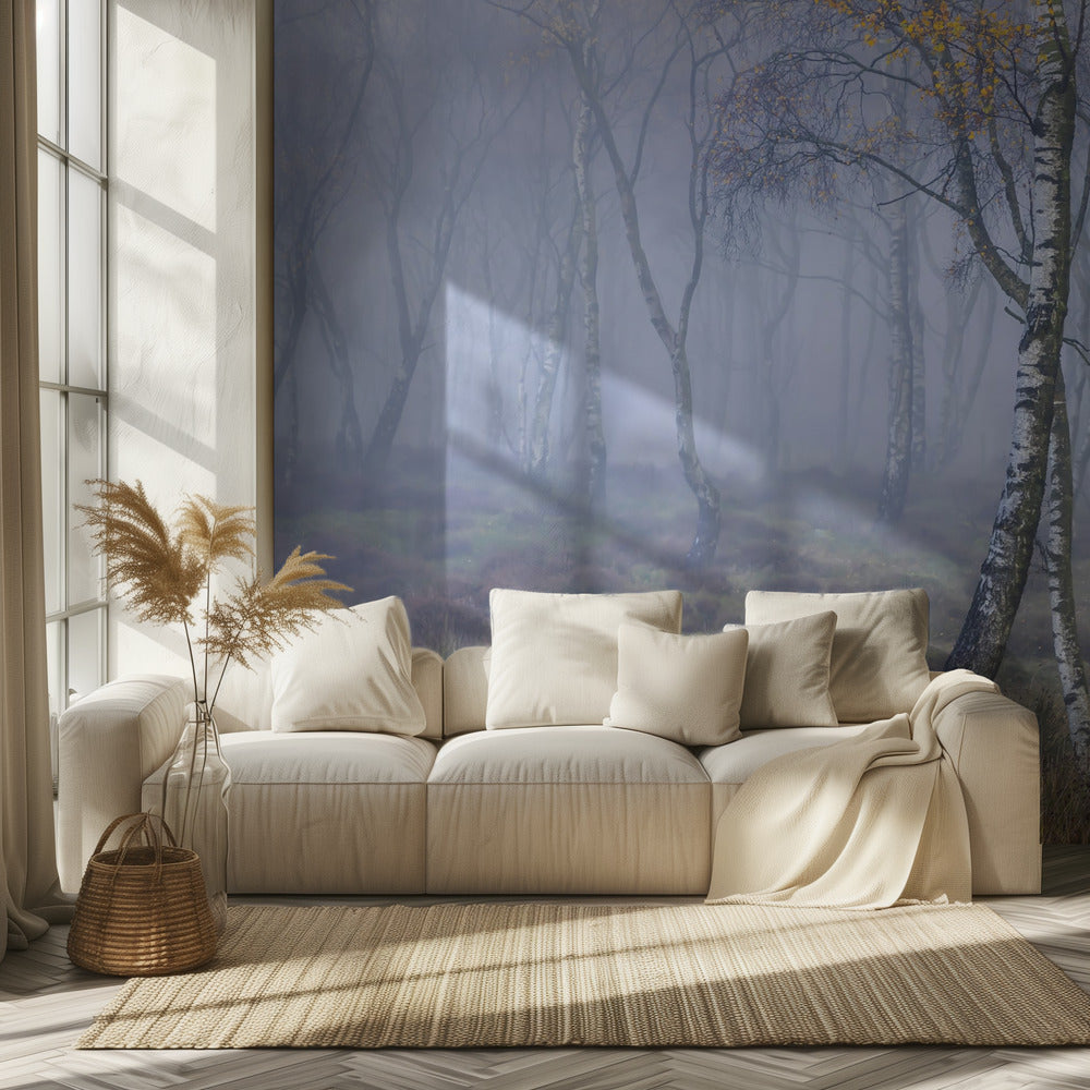 Ohne Titel | Fototapeten