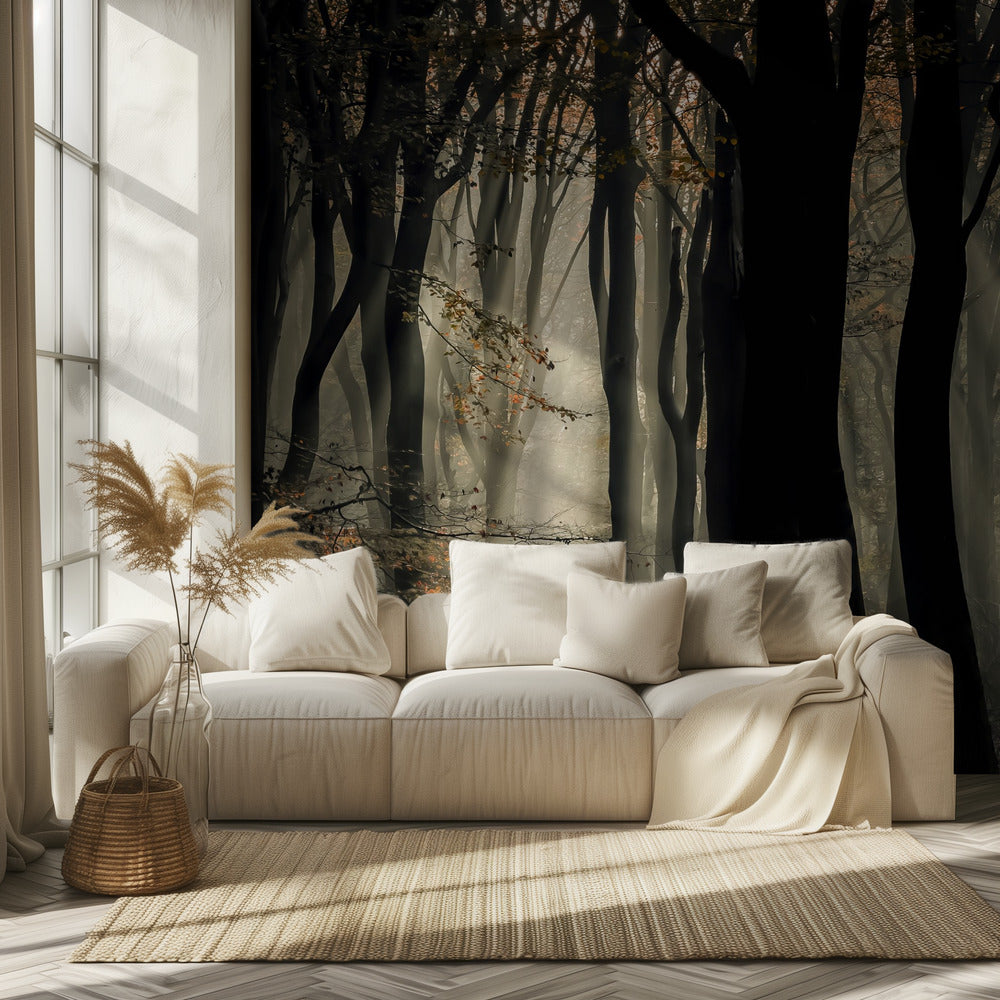 Speulderbos | Fototapeten