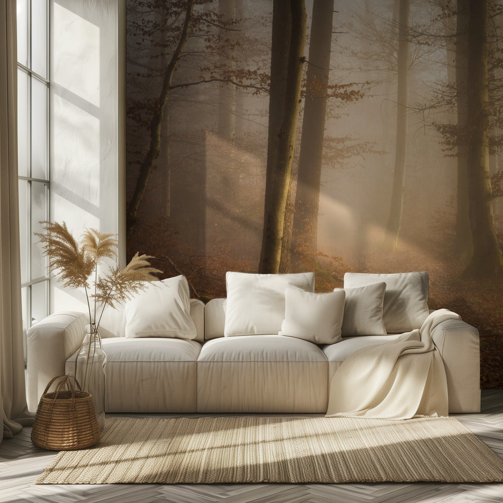 Novemberwald | Fototapeten