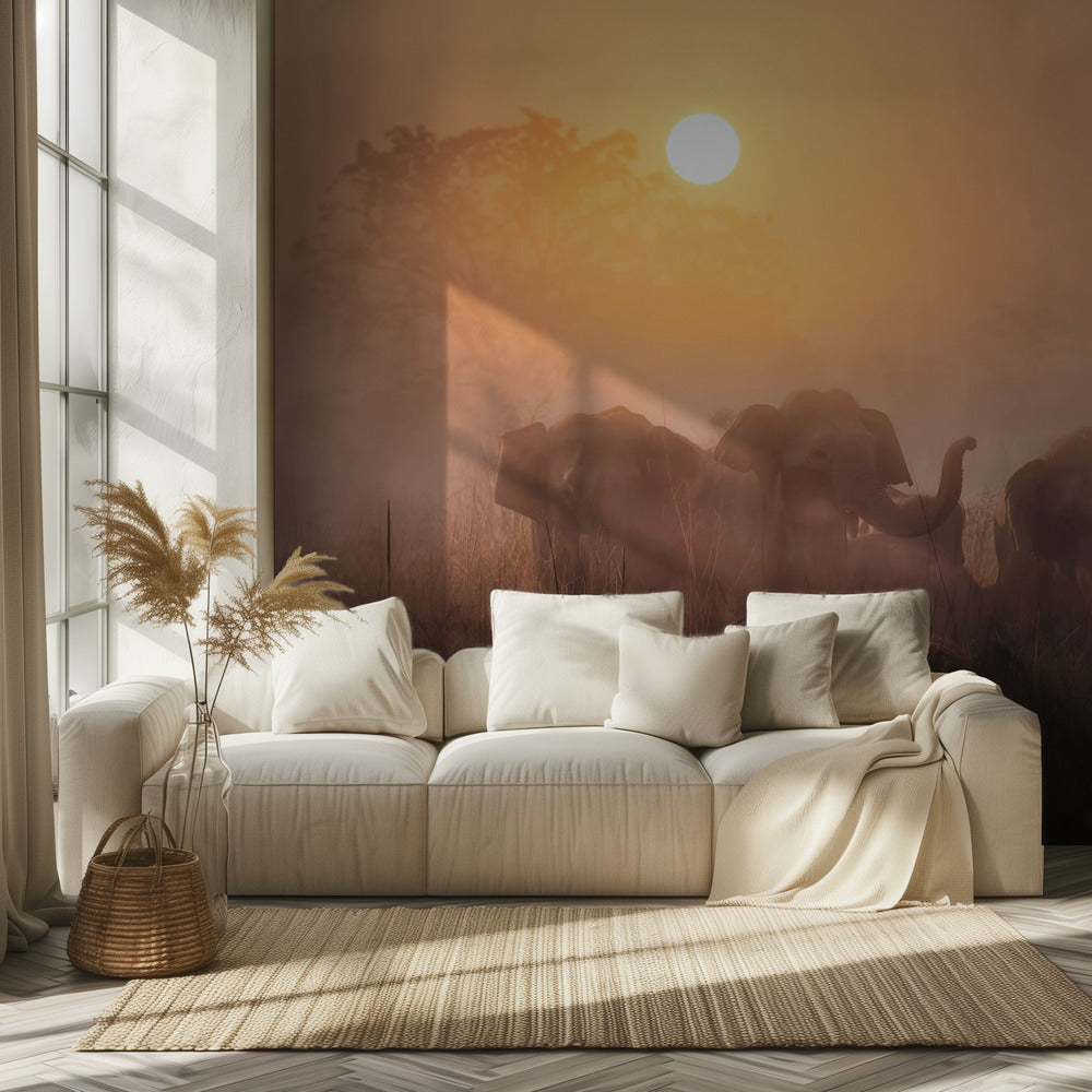 Aamut | Valokuvatapetit