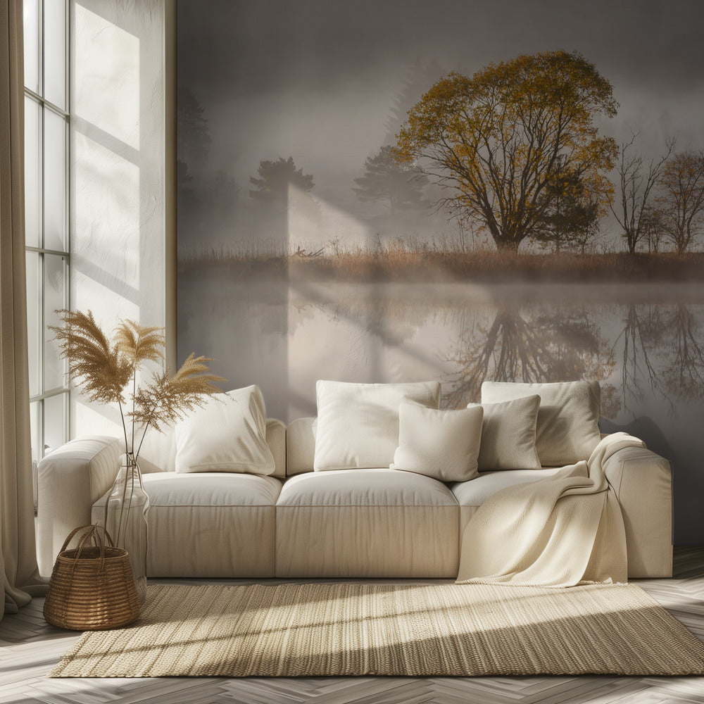 Sumuinen aamu | Valokuvatapetit