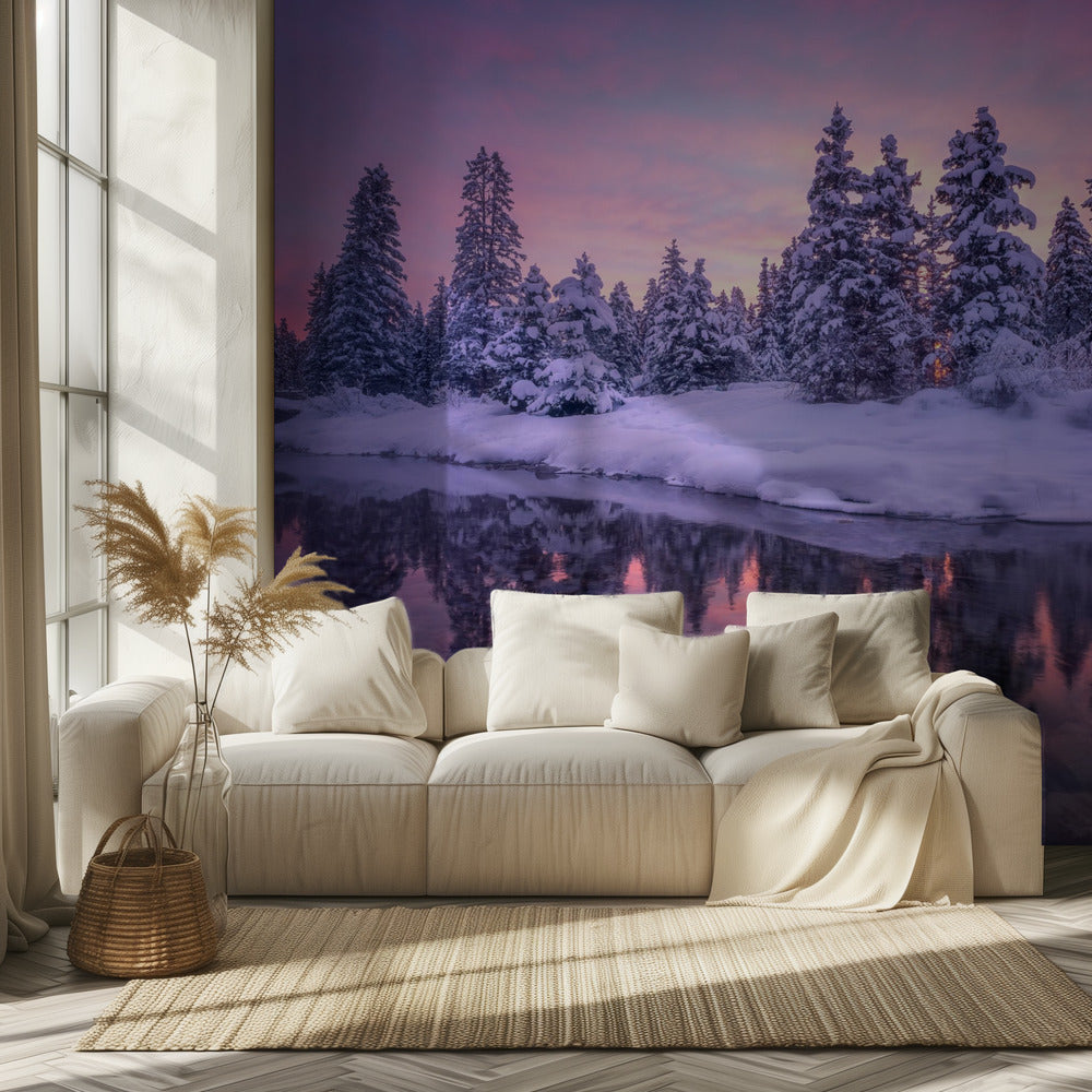 Mattina nella foresta | Carta da Parati Fotografica