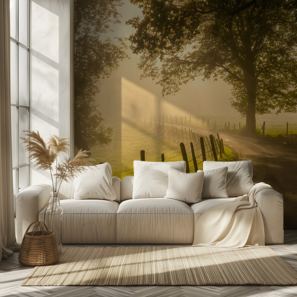 Morgenspaziergang | Fototapeten