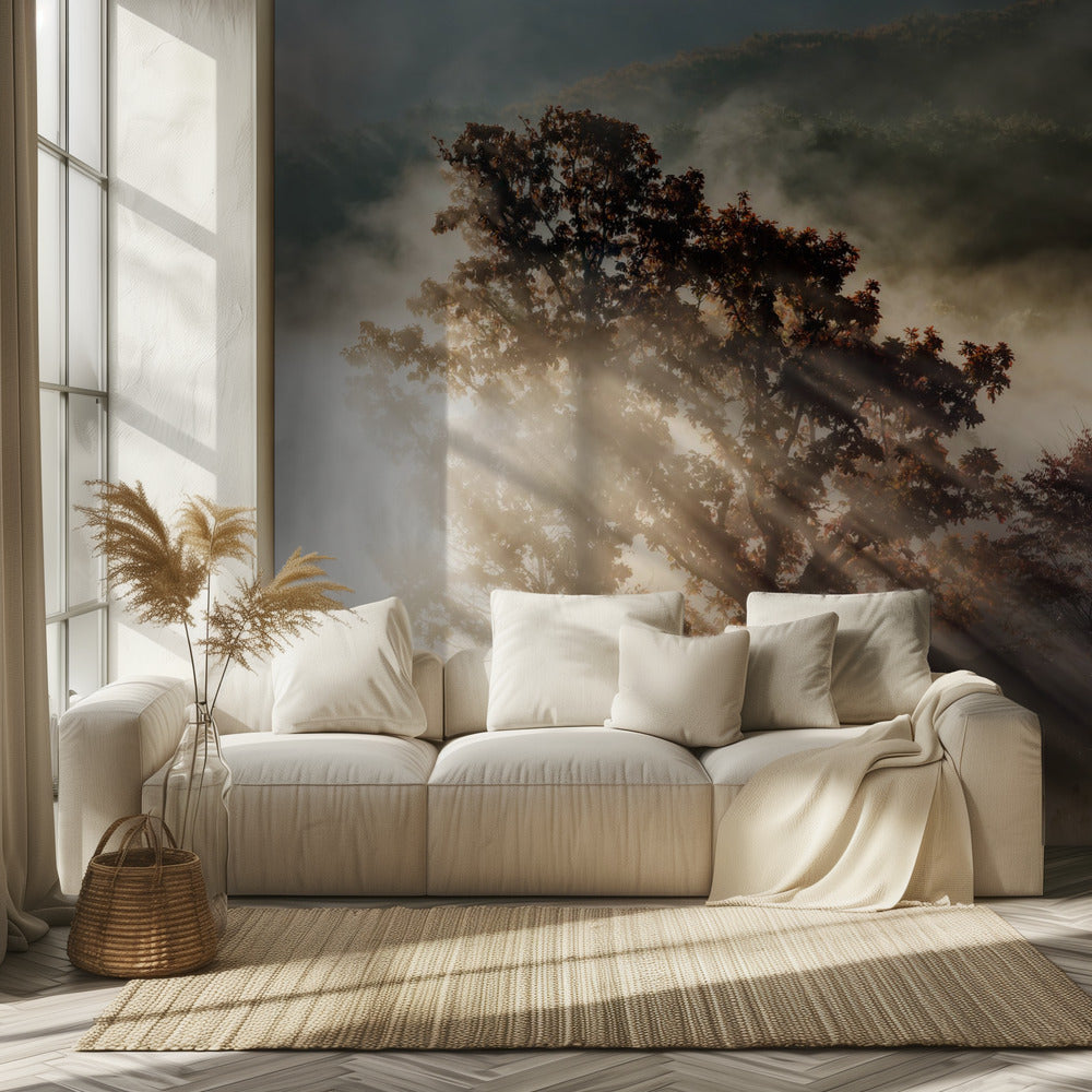 raggio di luce | Carta da Parati Fotografica