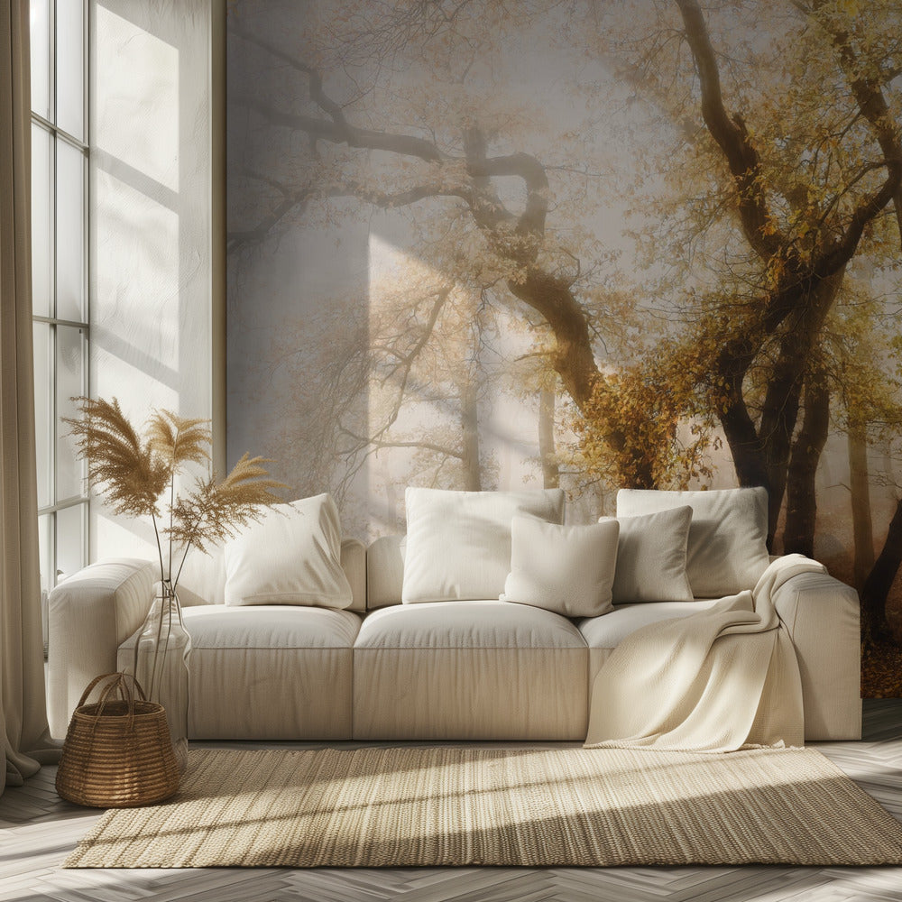 tanssivat puut | Valokuvatapetit