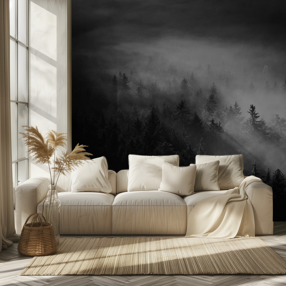 Sumuinen | Valokuvatapetit