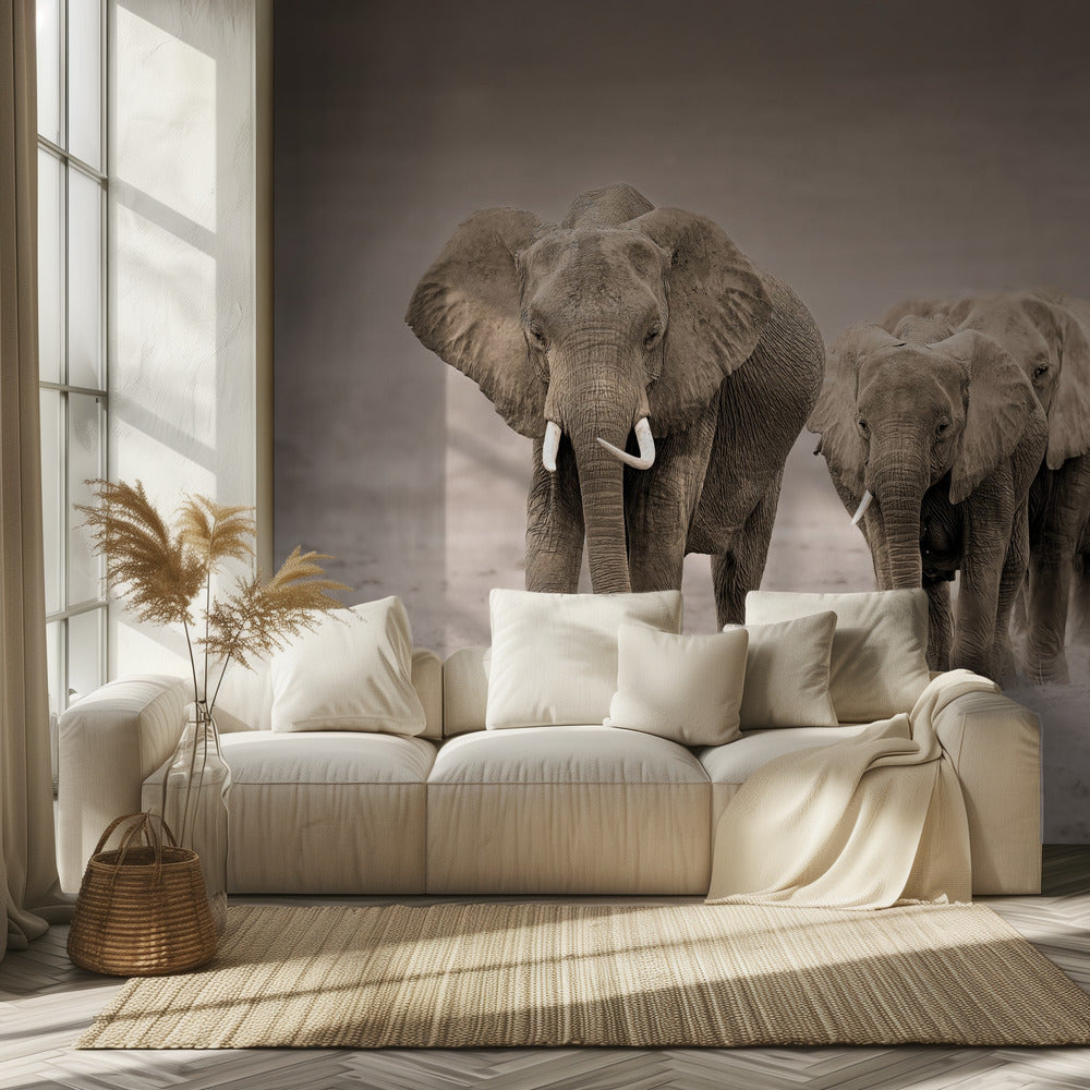 Polku | Valokuvatapetit