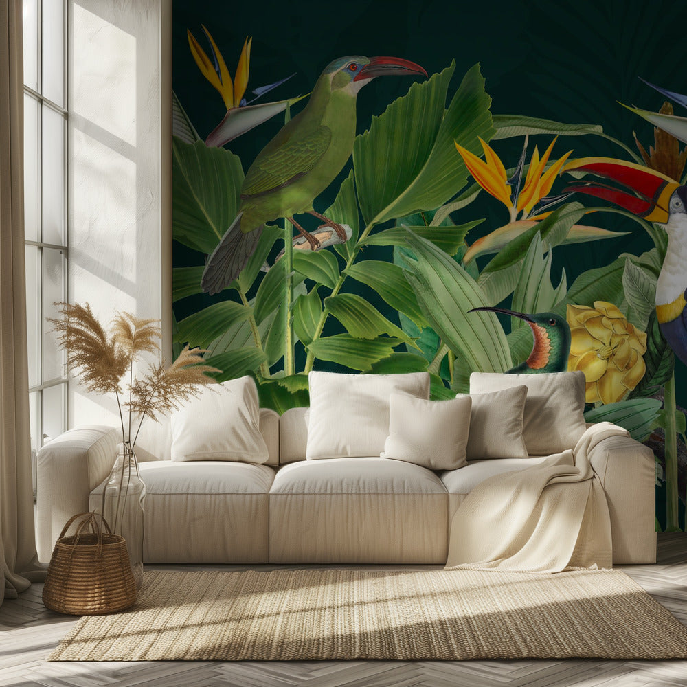 Sademetsän linnut | Valokuvatapetit