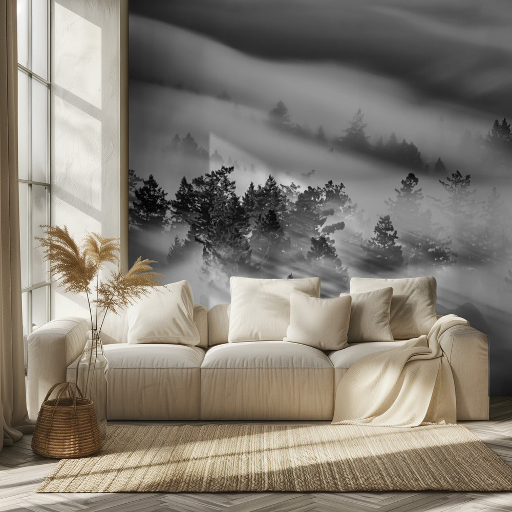 Nimetön | Valokuvatapetit