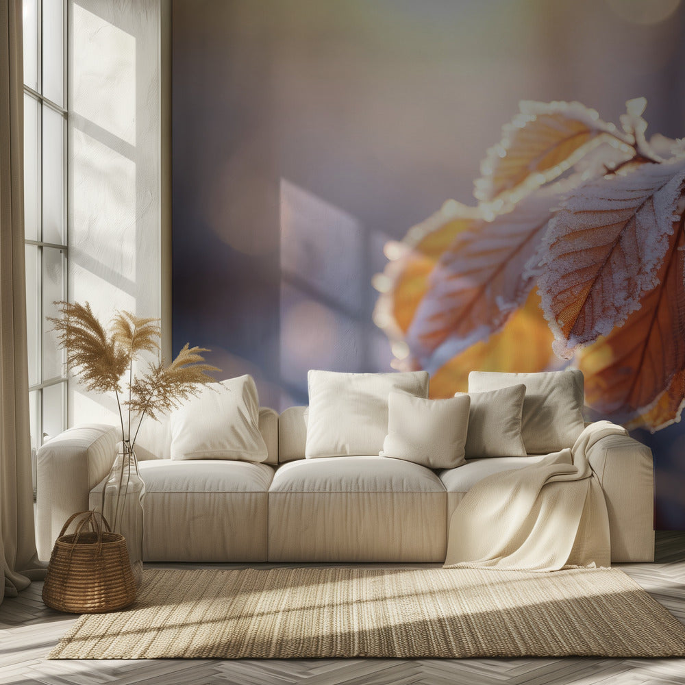 Winter Impressions No 10 | Wallpaper