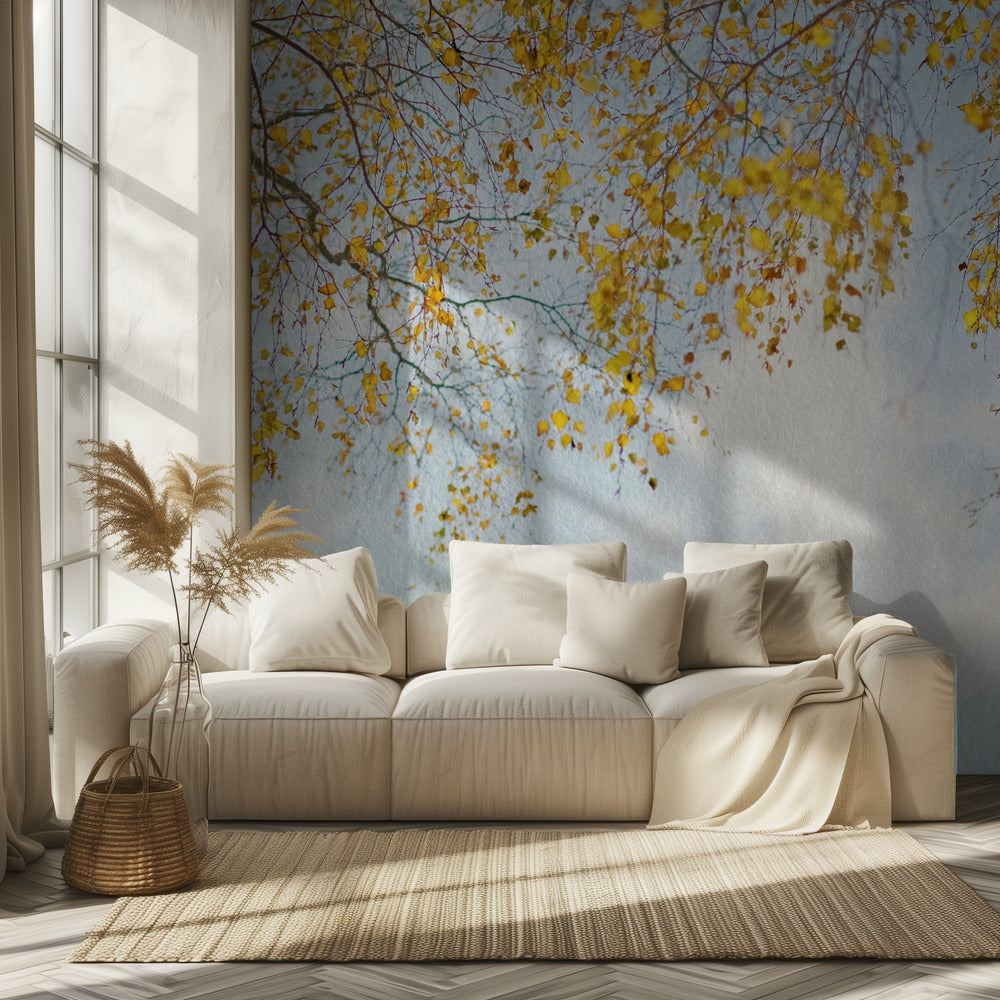 Hopeakoivun lehdet sinisellä taivaalla | Valokuvatapetit