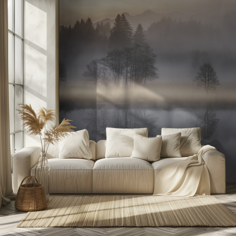 Mattina mistica III | Carta da Parati Fotografica