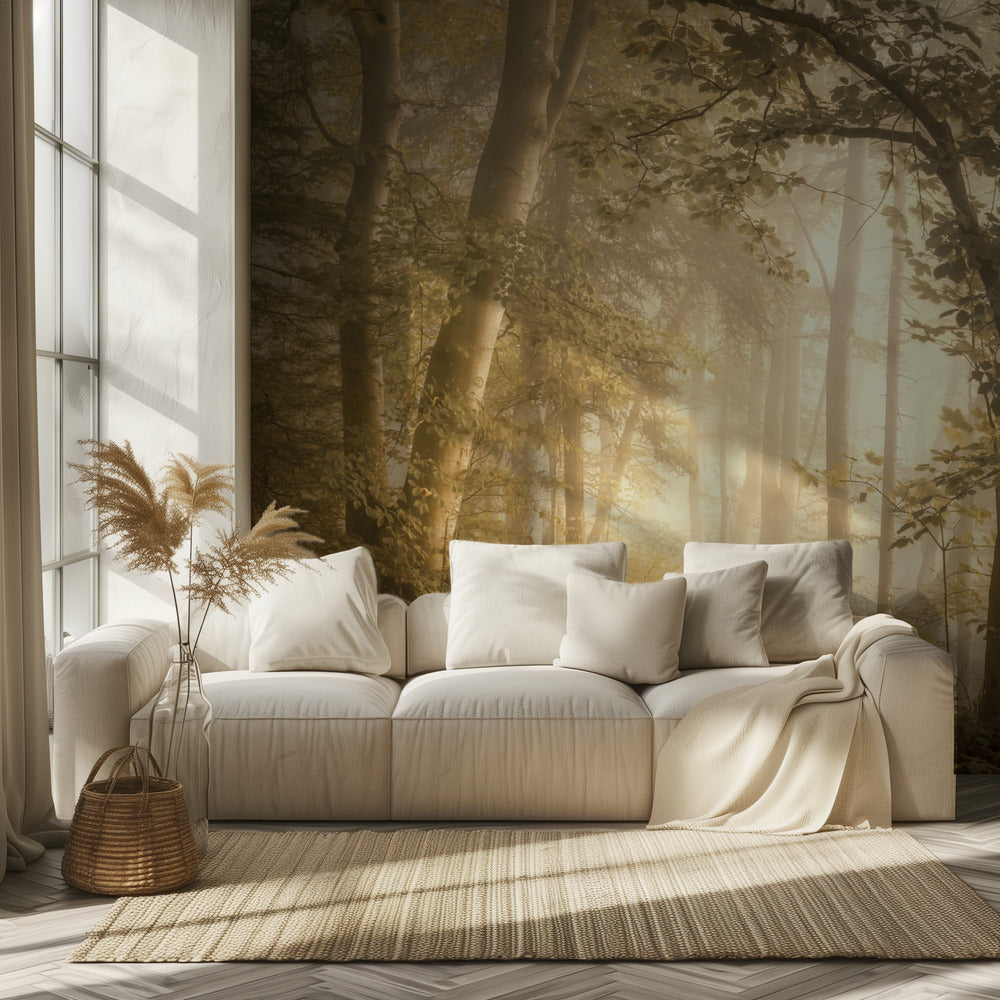 Waldlicht | Fototapeten