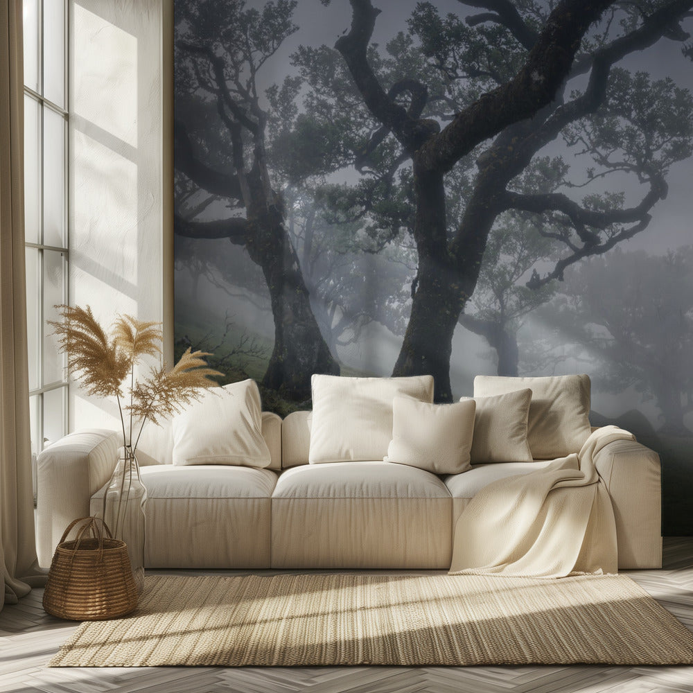 Morning mist | Wallpaper