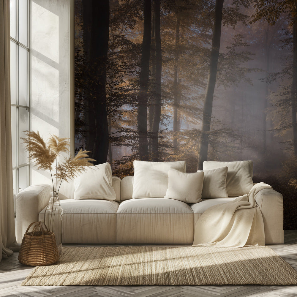 Verso la luce | Carta da Parati Fotografica