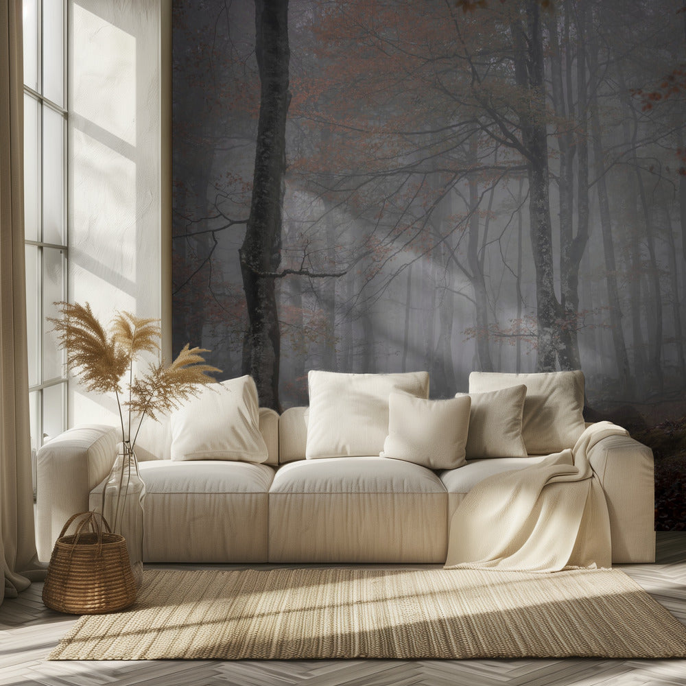 Nebbia e foresta | Carta da Parati Fotografica