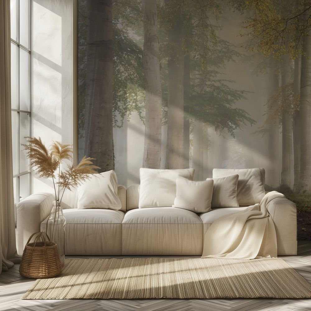 Faggi nella nebbia autunnale | Carta da Parati Fotografica