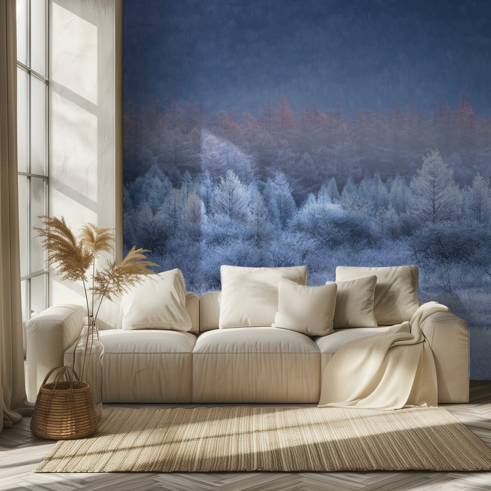 Autumn and Winter gradients | Wallpaper
